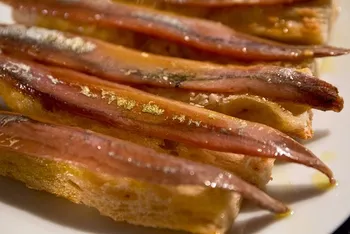 anchois au sel