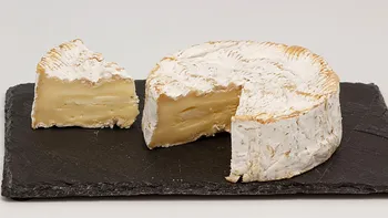 camembert