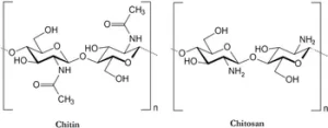 Chitine, chitosan