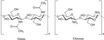 chitine chitosan