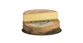 fontina aop