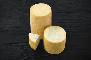 fourme de montbrison aop