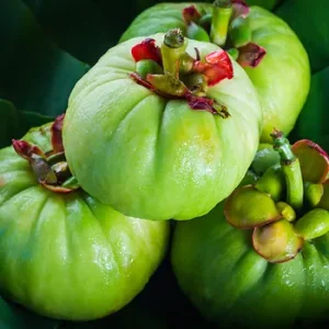 Garcinia