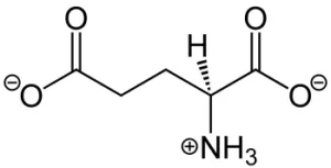 Glutamate