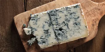 gorgonzola