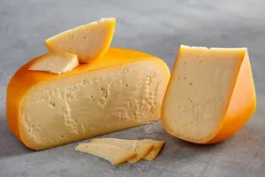 Gouda