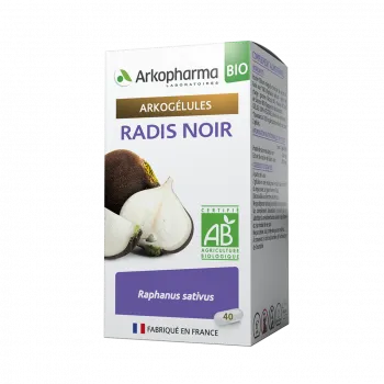 radis noir