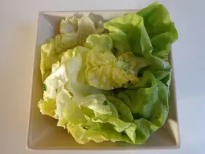 Salade verte