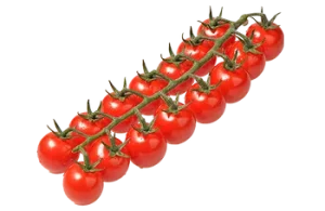 Tomate cerise