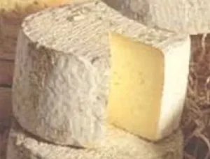 Tomme de lozère