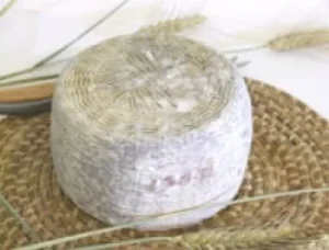 Tomme pierucci