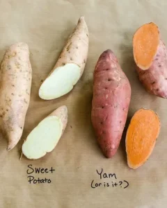 Yam